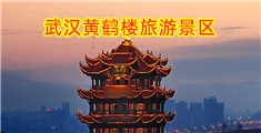 亚洲美女嫩B