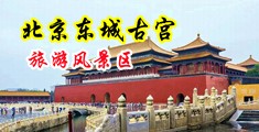 插插嫩逼逼中国北京-东城古宫旅游风景区